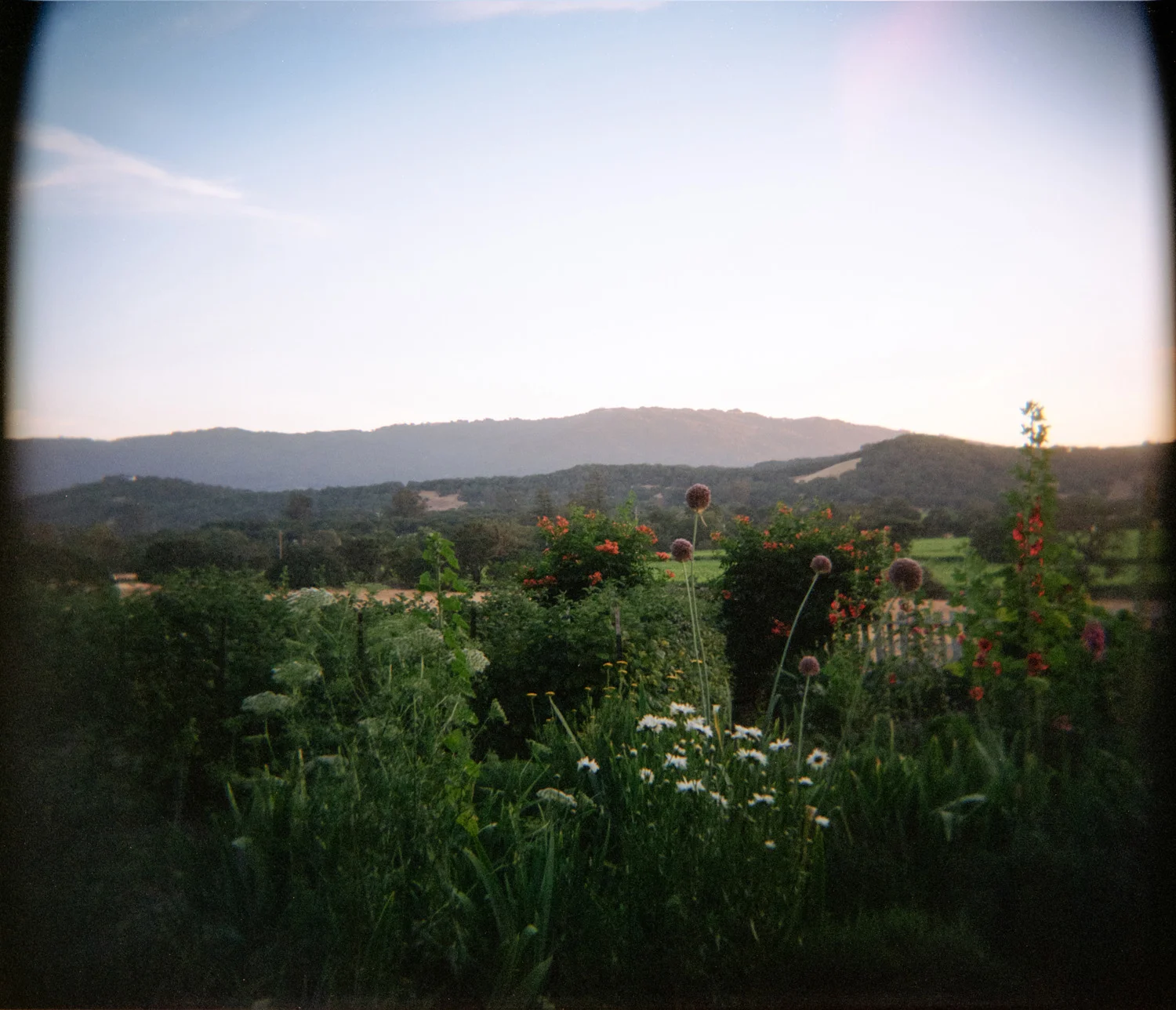 ChristinaRichardsWeddings_001.jpg