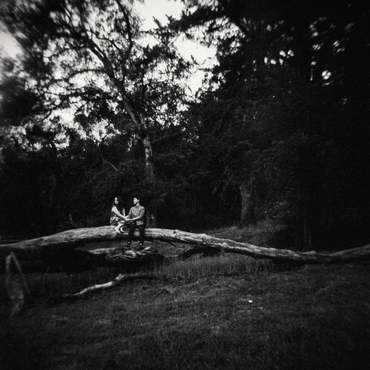 nature_engagement_session.jpg
