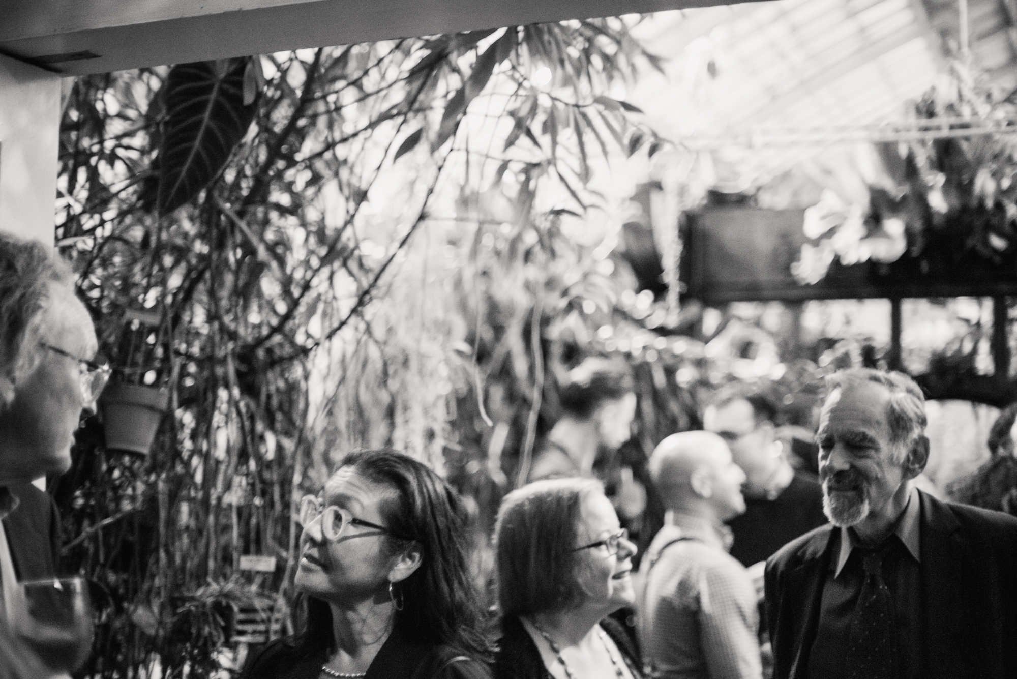 Conservatory_of_Flowers_San_Francisco_Wedding_038.jpg