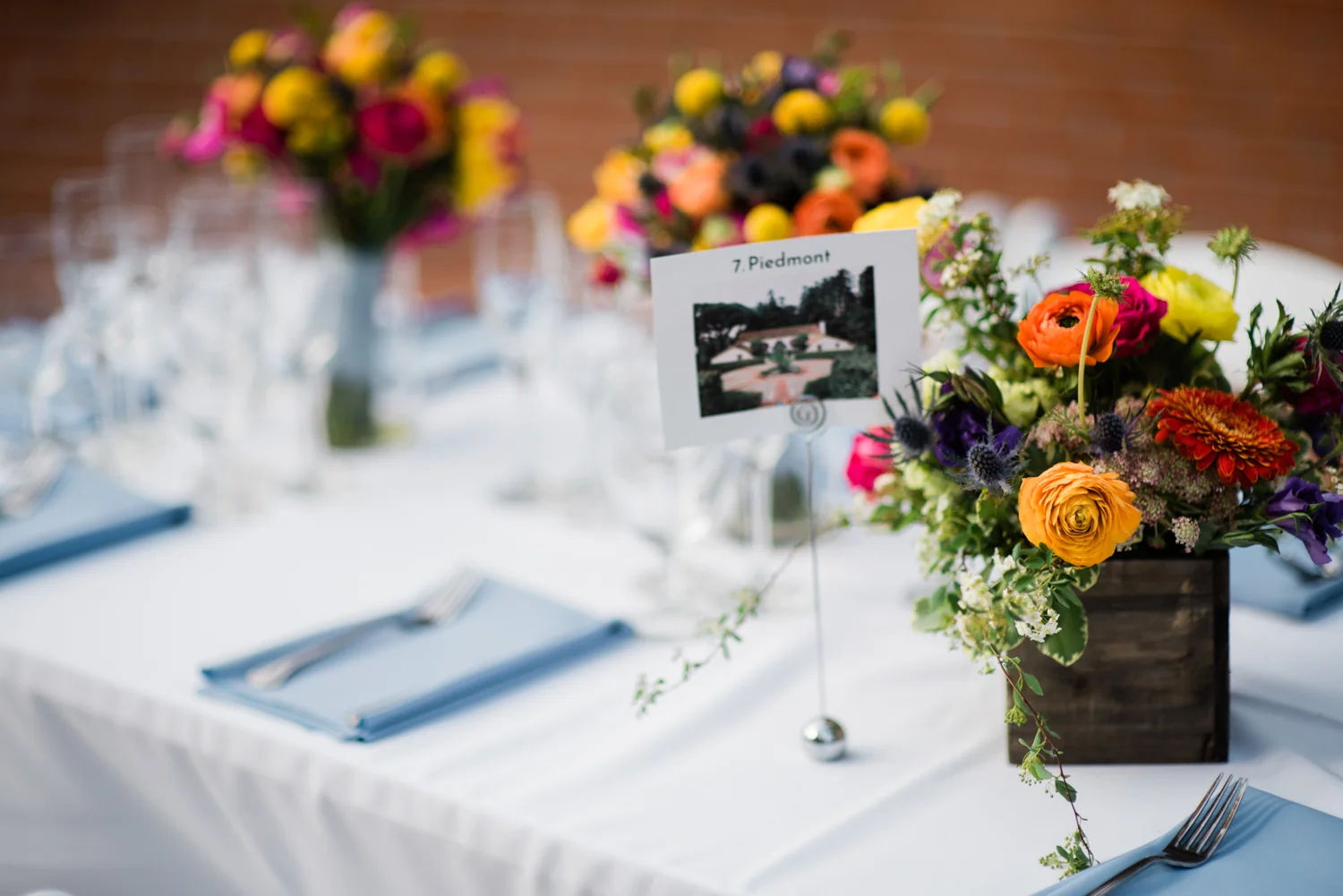 Spring_Piedmont_Community_Hall_Wedding_033.jpg
