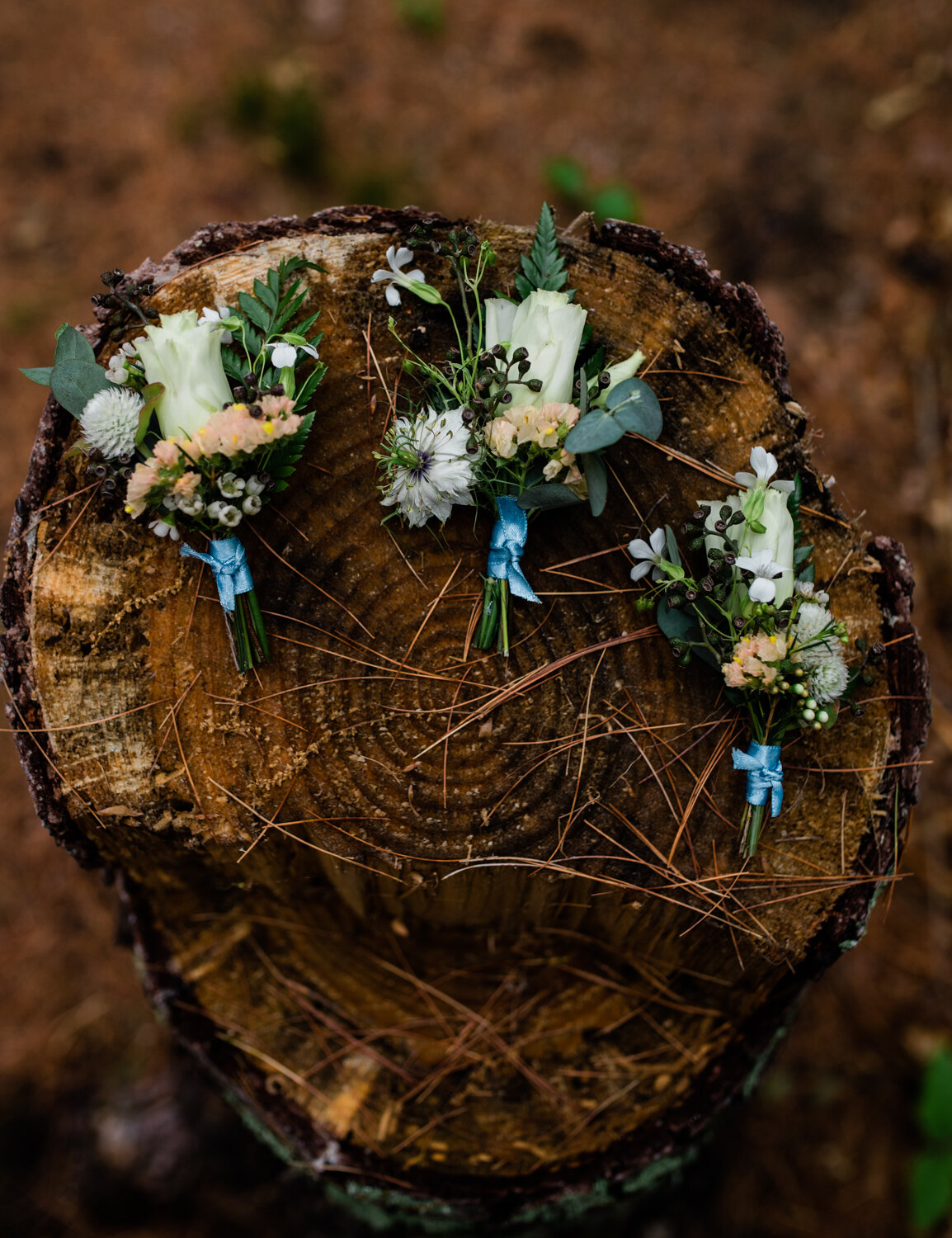 WellfleetBackyardWedding_005.jpg