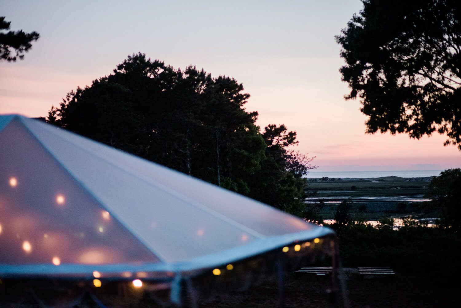 WellfleetBackyardWedding_049.jpg