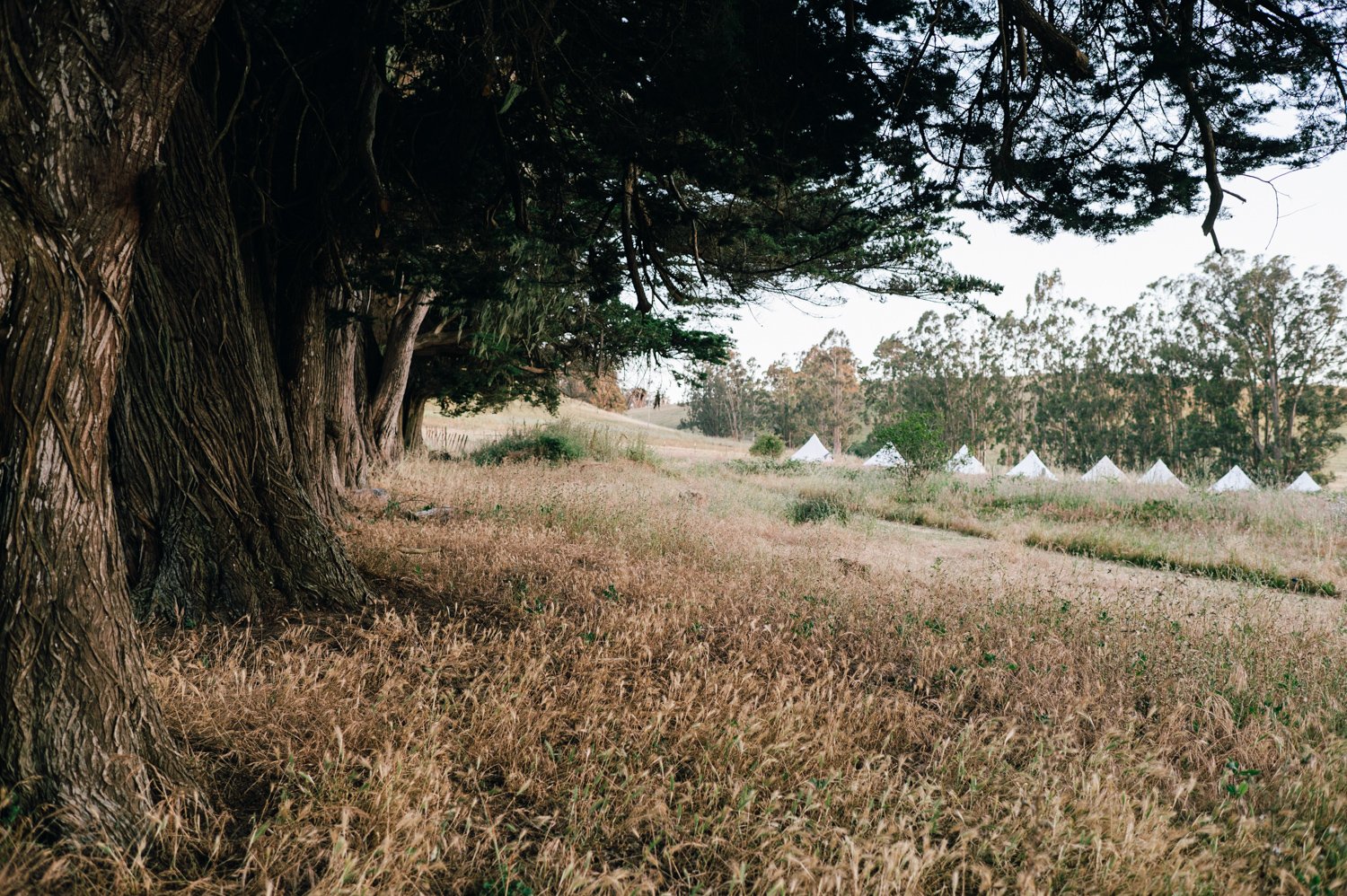 Lazy_Quail_Ranch_Wedding_005.jpg