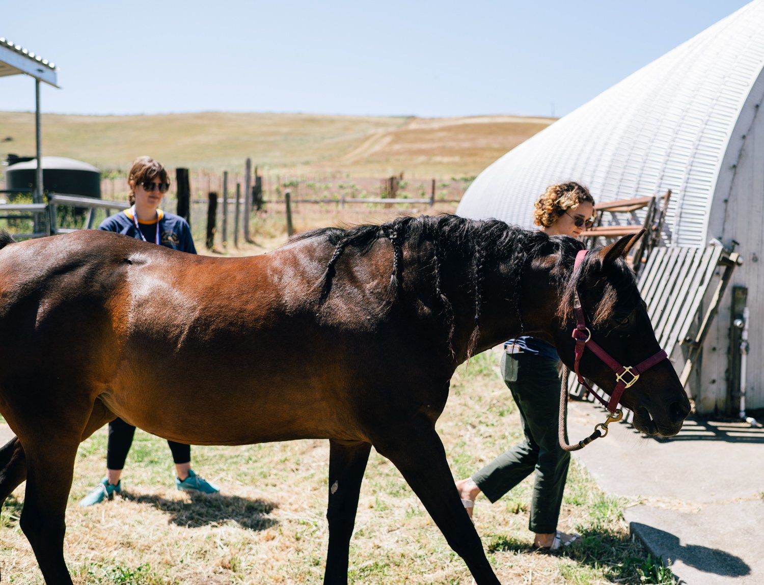 Lazy_Quail_Ranch_Wedding_019.jpg