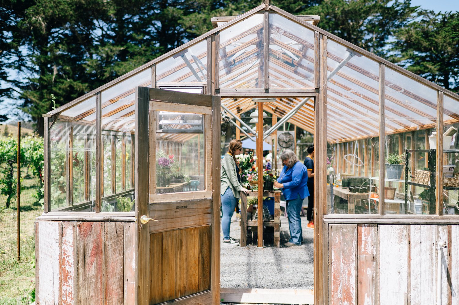 Lazy_Quail_Ranch_Wedding_023.jpg