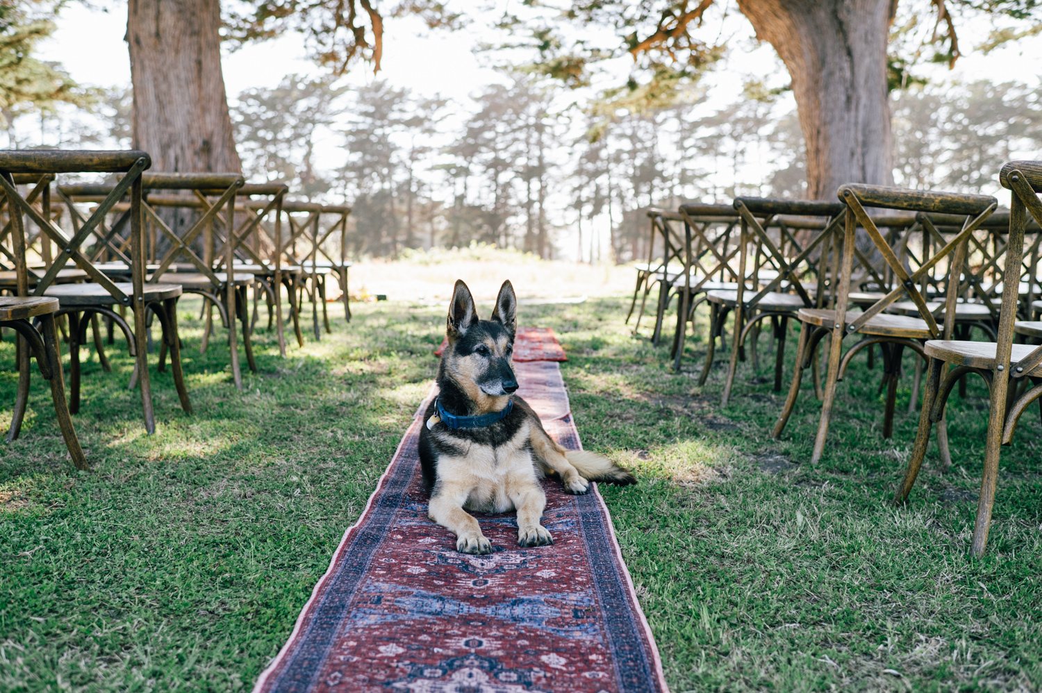 Lazy_Quail_Ranch_Wedding_054.jpg