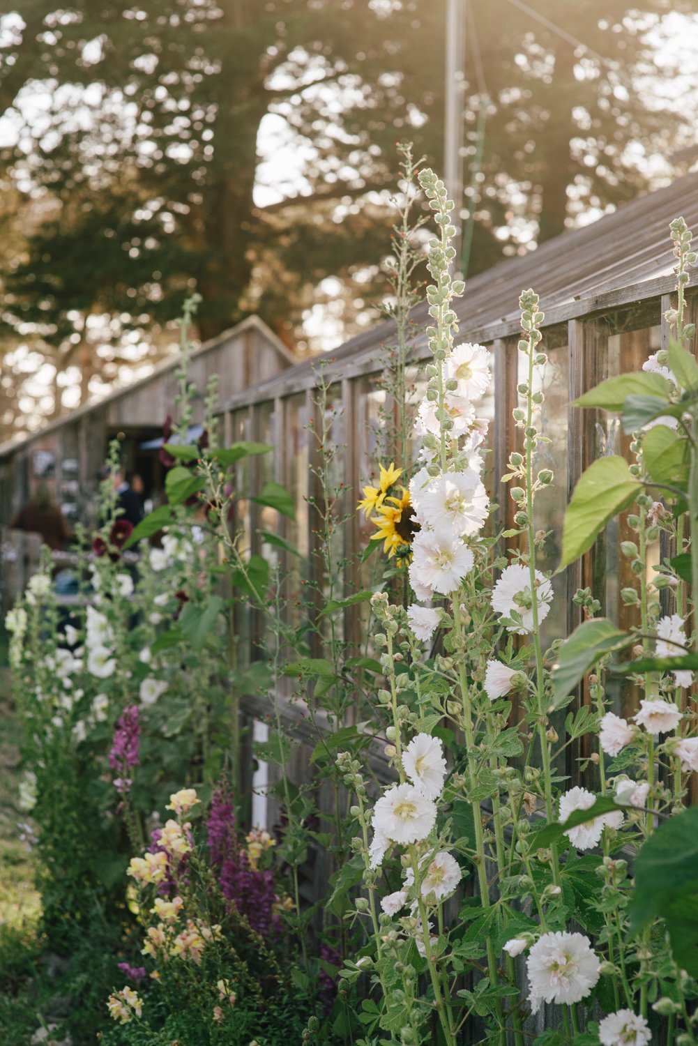 Lazy_Quail_Ranch_Wedding_077.jpg