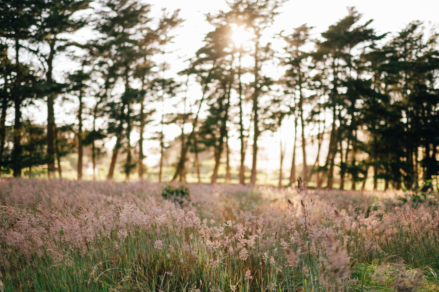 Lazy_Quail_Ranch_Wedding_115.jpg