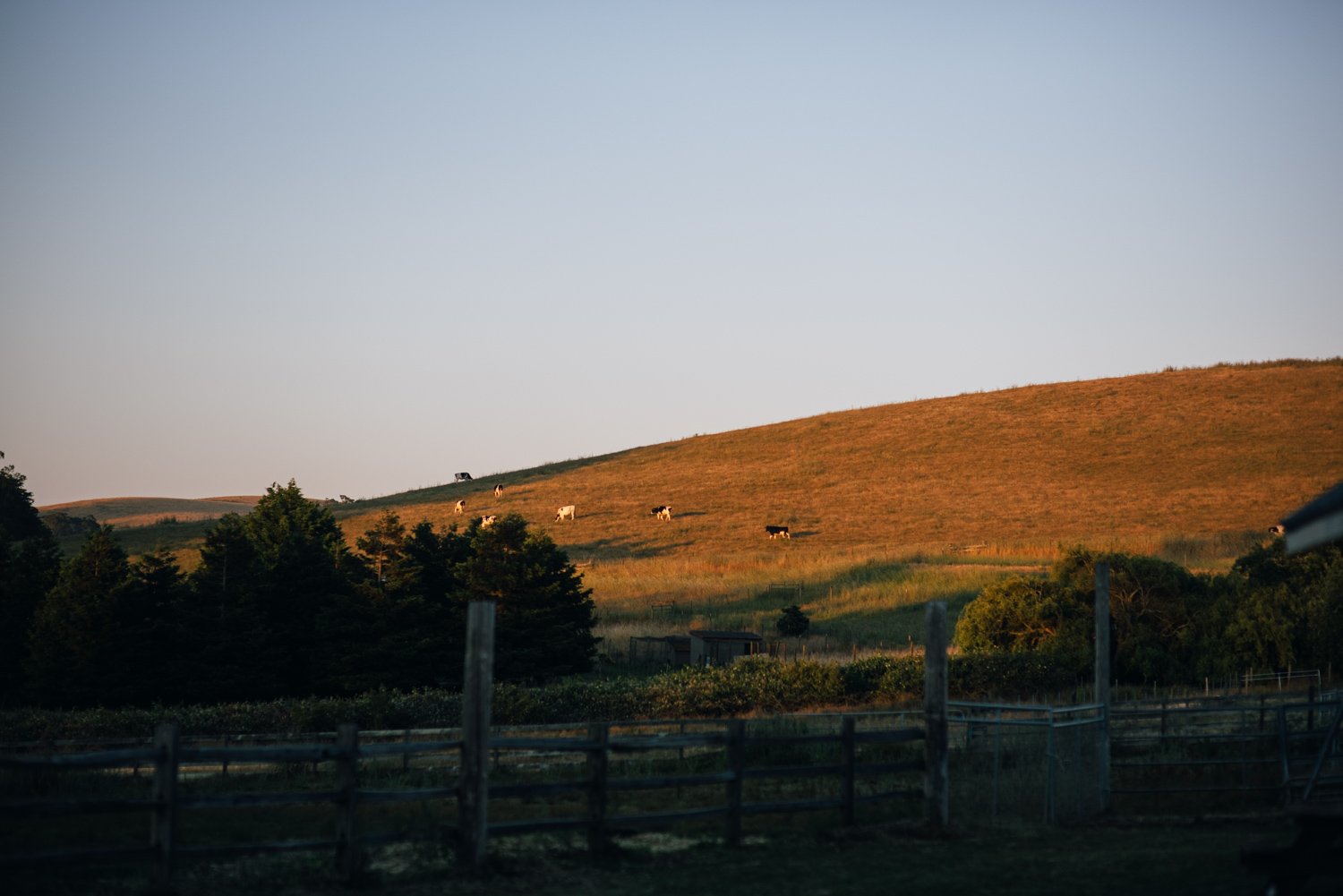 Lazy_Quail_Ranch_Wedding_117.jpg