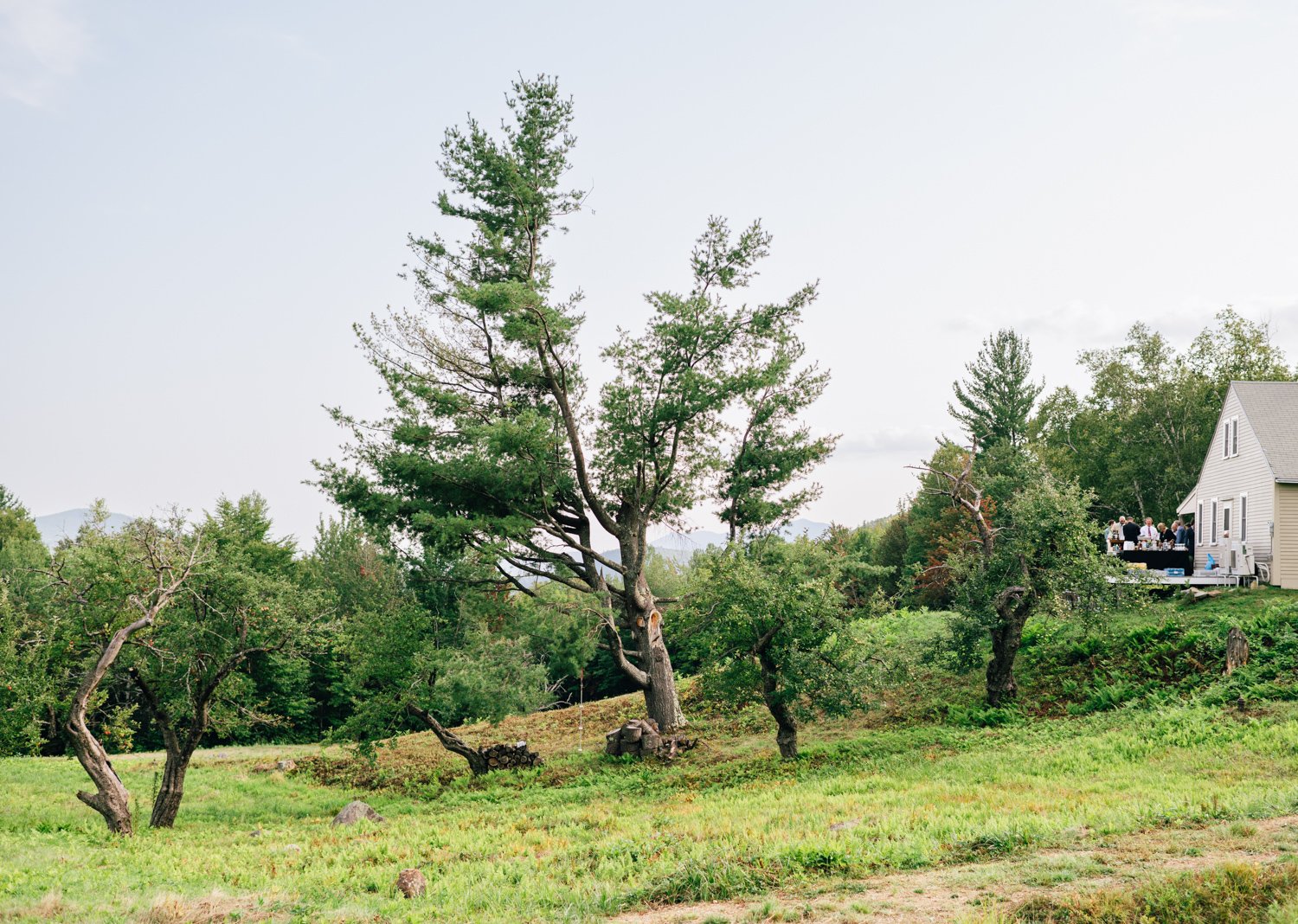 AG_Summer_Mountain_Wedding002.jpg