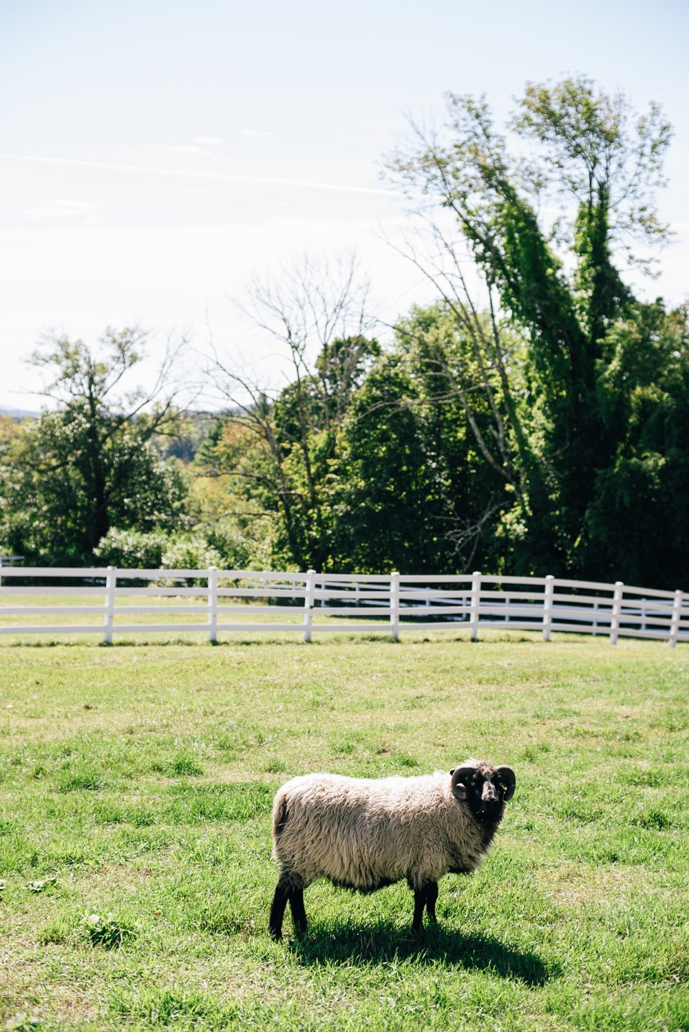 Squam_Lake_Wedding_Willoughby_043.jpeg
