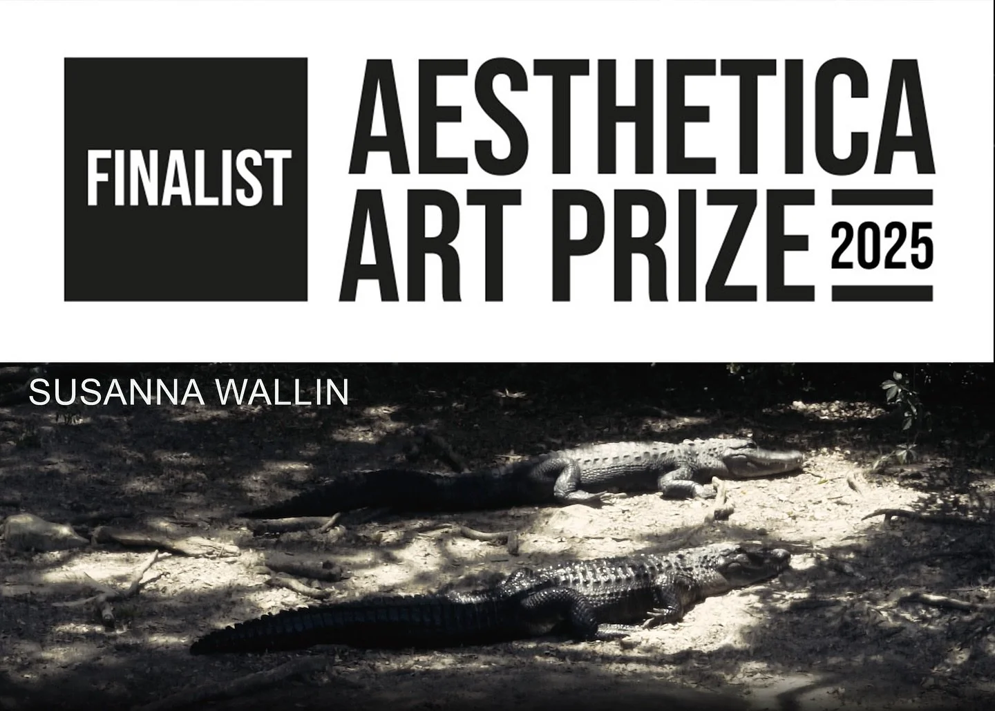 I am very happy to share that I have been shortlisted for the Aesthetica Art Price 2025 @aestheticamag 

The Aesthetica Art Prize 2025 runs from 19 September 2025 to 25 January 2026 at York Gallery. @yorkartgallery