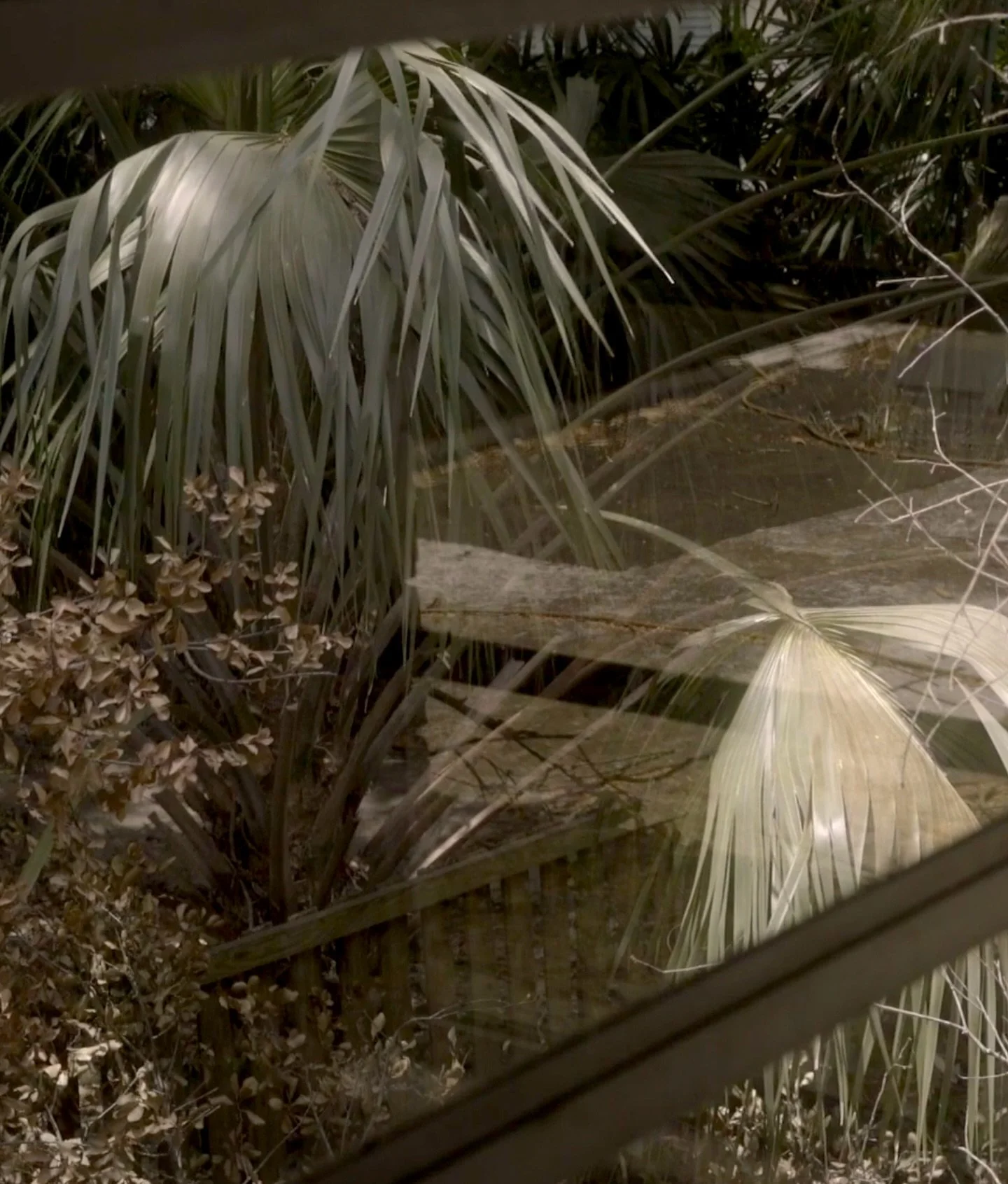 I am honored to be included among these beautiful and provocative films as part of Braziers International Film Festival at Braziers Park, UK featuring eight curated programs of international films for a collective weekend of cinema, conversation and 