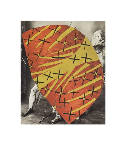 Collage14sm.jpg