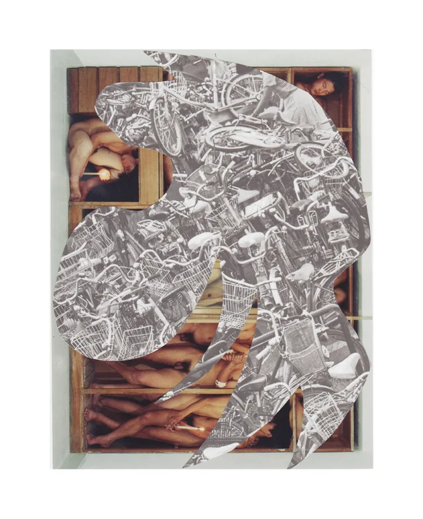 Collage15sm.jpg