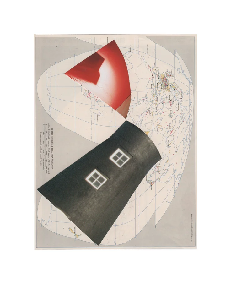 Collage 37sm.jpg