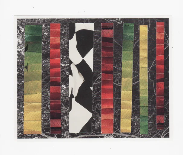 Collage 62sm.jpg