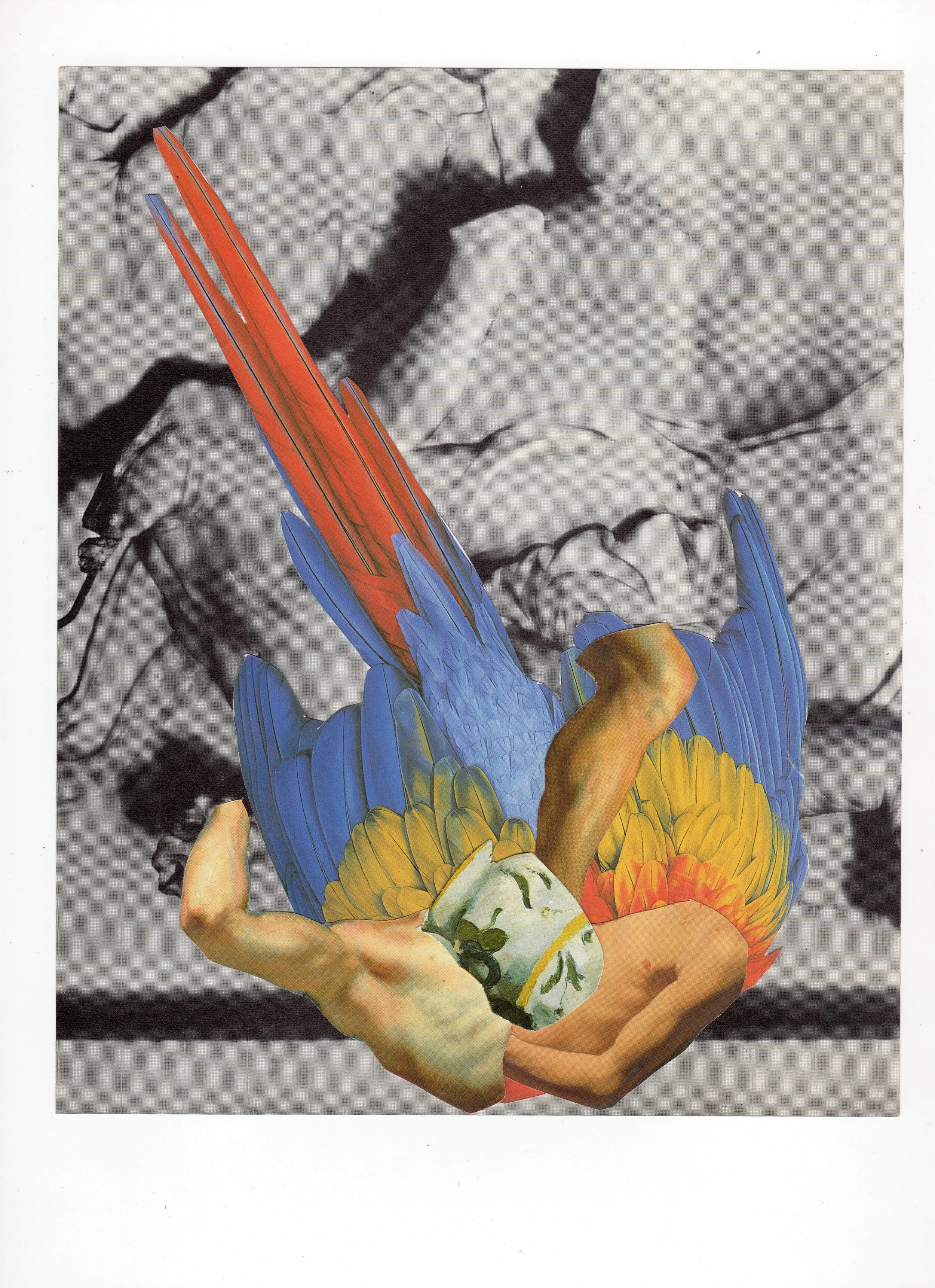 Collage 133 9.5x7.5.jpg