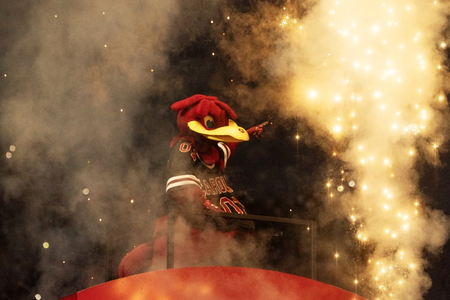 usc v mss 8.JPG