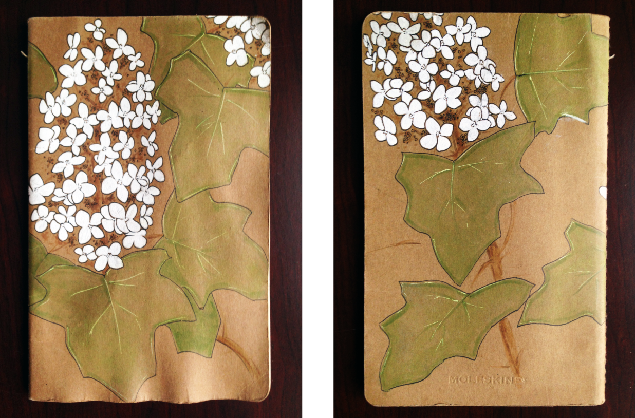  Oak Leaf Hydrangea Cover 