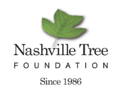 nashville tree foundation