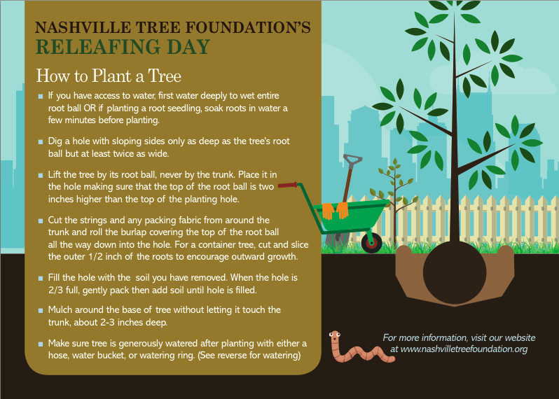 How to plant a tree - free download