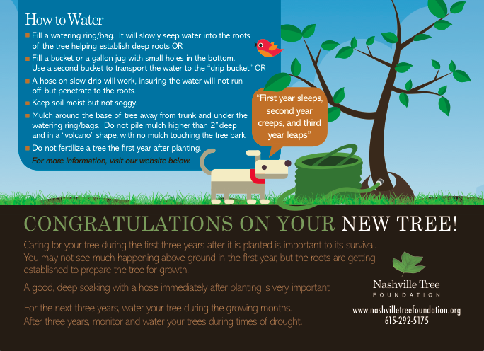 How to water your tree - Free download