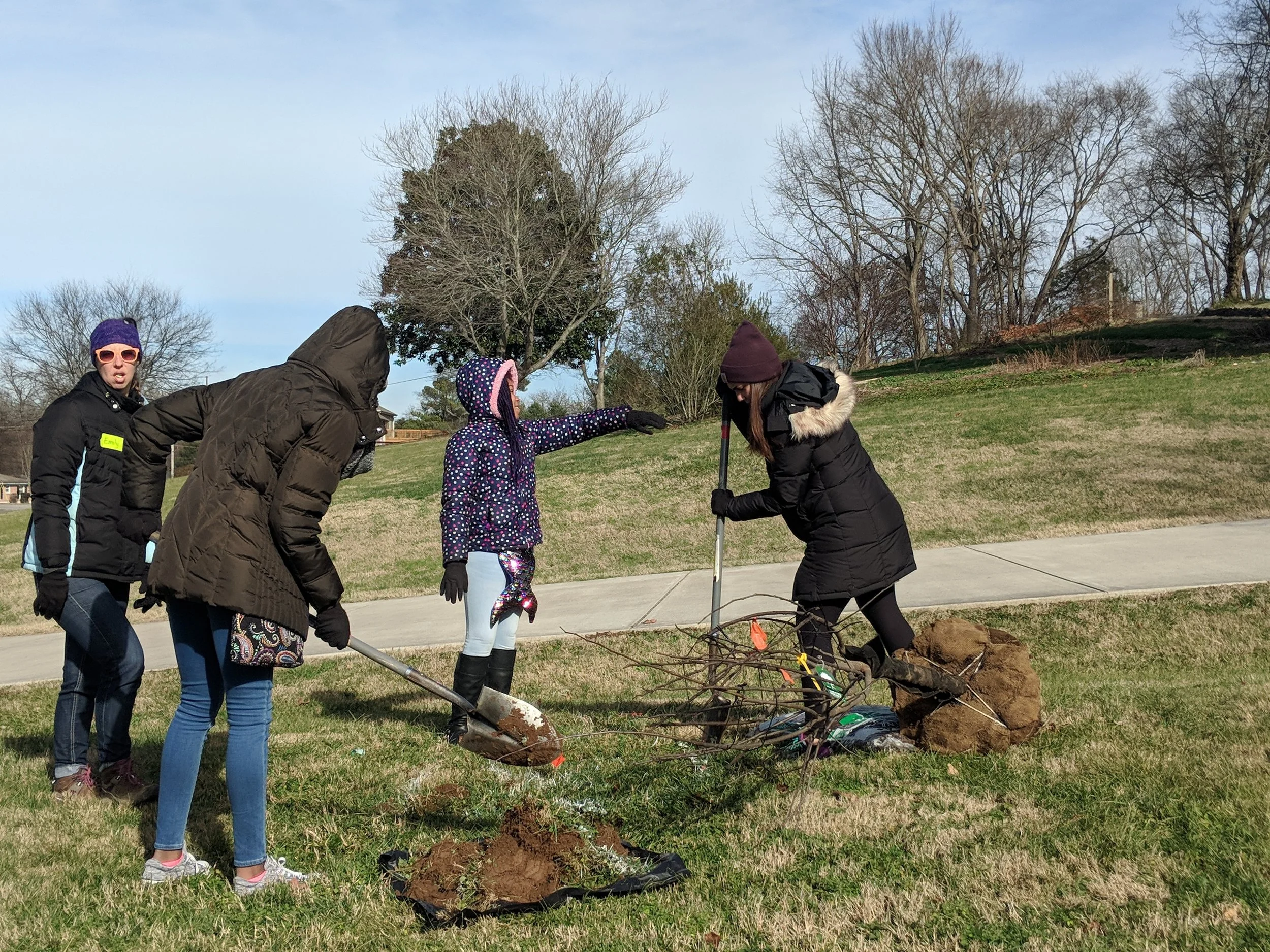 00000IMG_00000_BURST20190121132919704_COVER.jpg