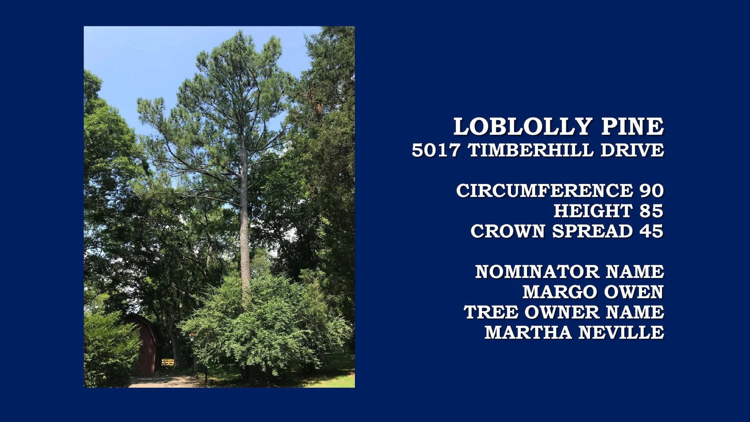 BOTC PRESENTATION 2019 32.jpg