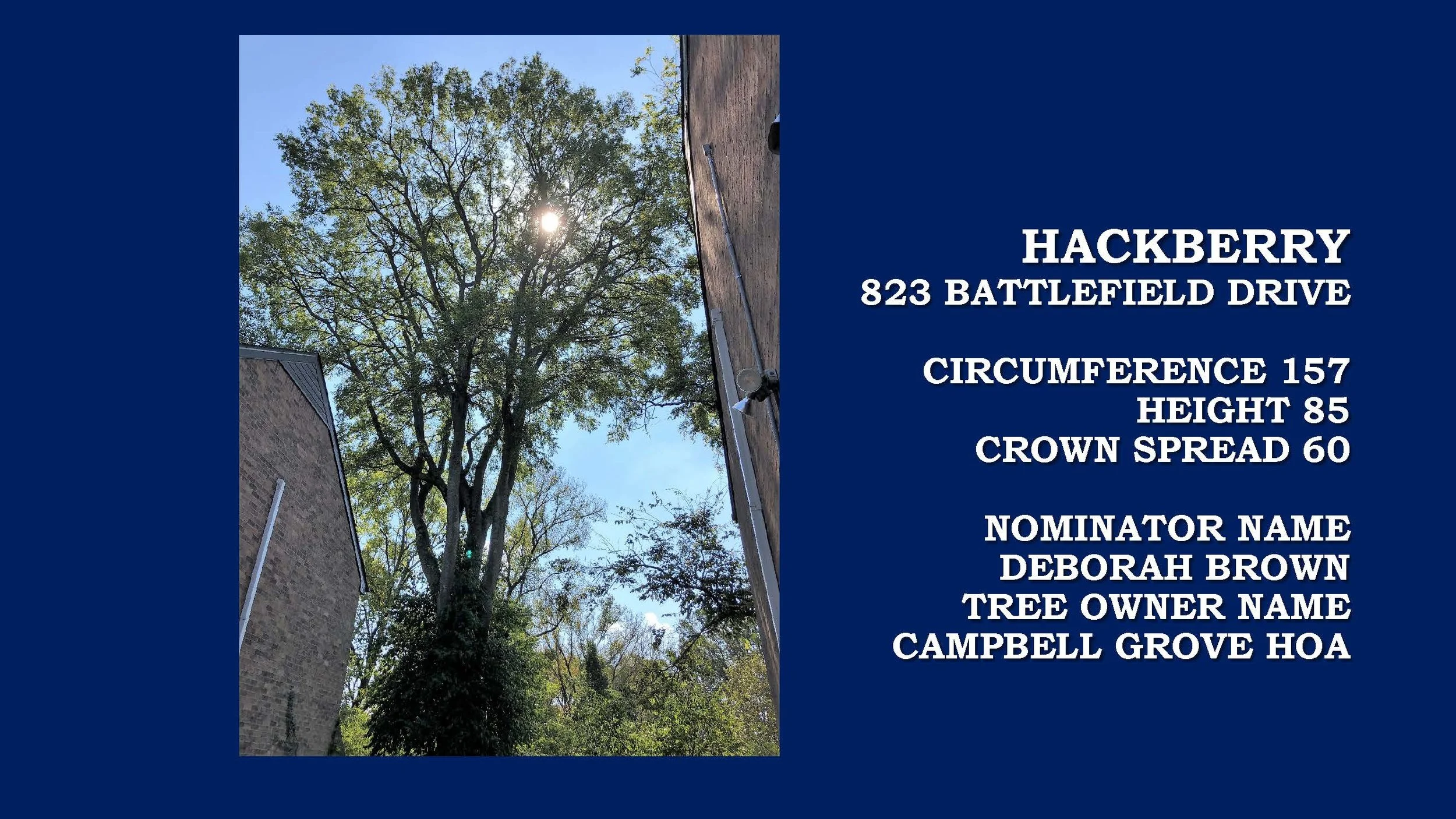 BOTC PRESENTATION 2019 31.jpg