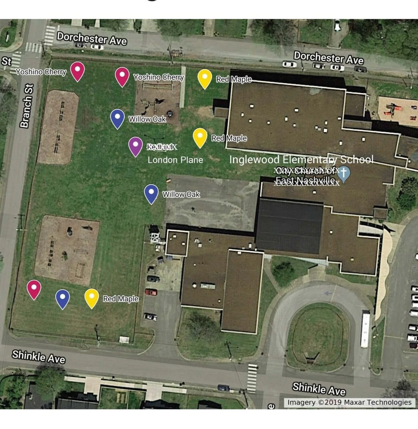 Inglewood%2BES%2BPlanting%2BMap%2B122019.jpg