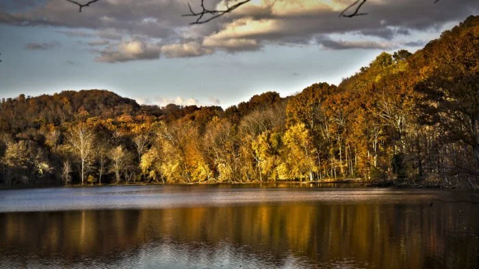 Link: best places to see fall colors in Nashville