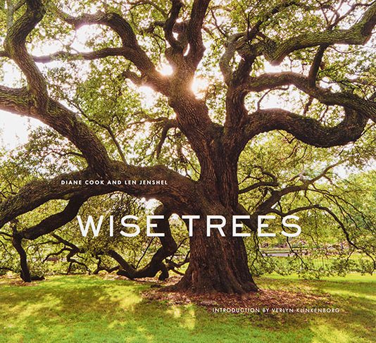 wise trees book.png