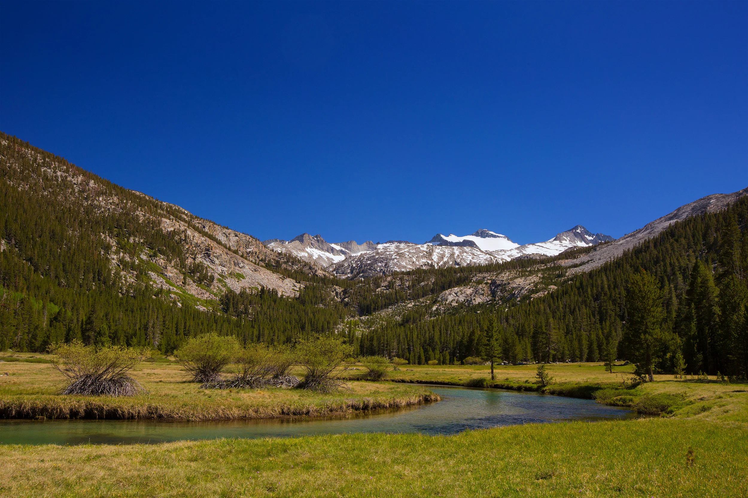 Lyell Canyon