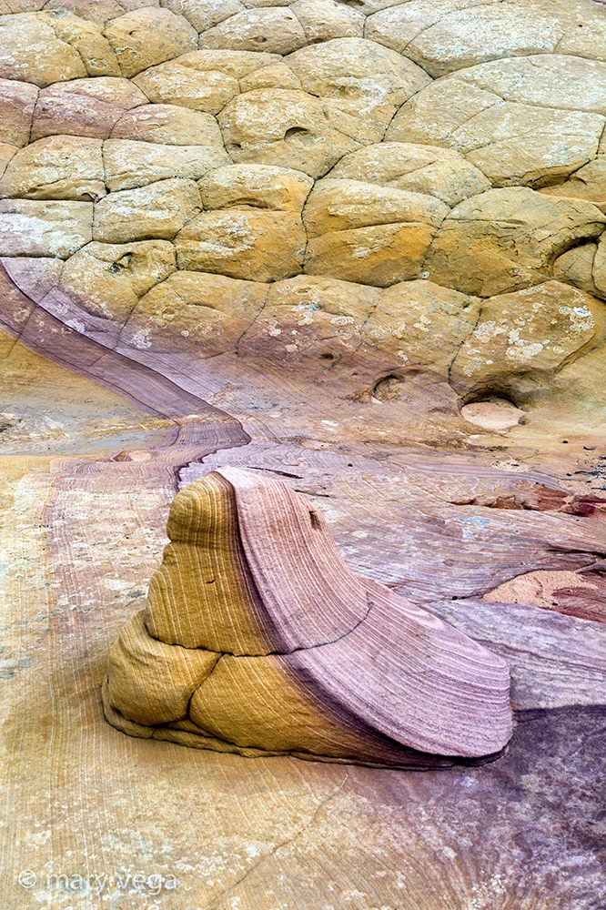Intimate South Coyote Buttes
