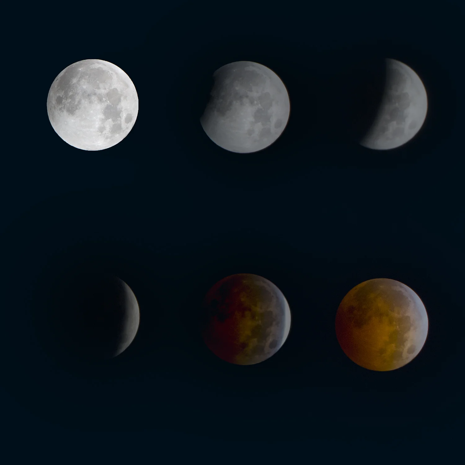Harvest Blood Moon
