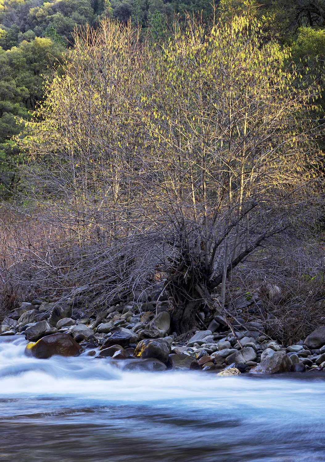 middlefork_DSC0355 copy.jpg