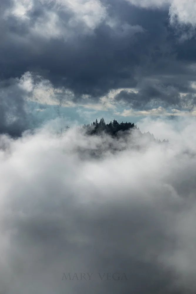 foresthllclouds-copy.jpg