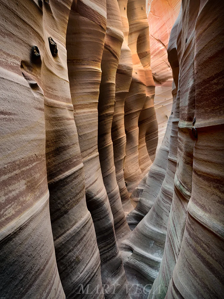 Smooth Side Of Mother Nature