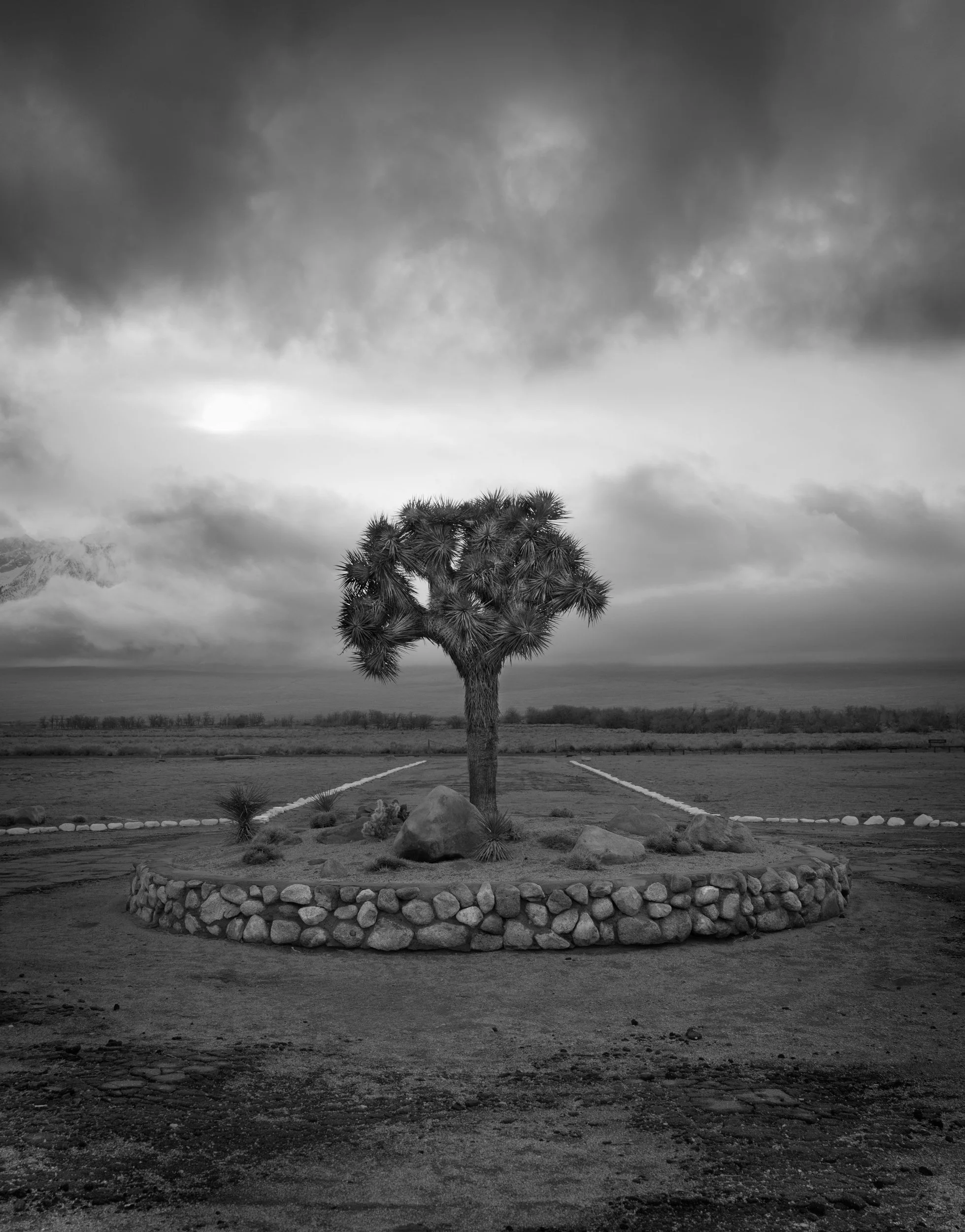 joshmanzanar903-1-copy.jpg