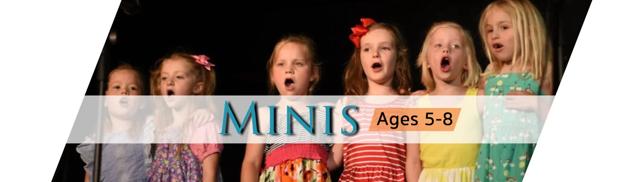 minis web heading.jpg