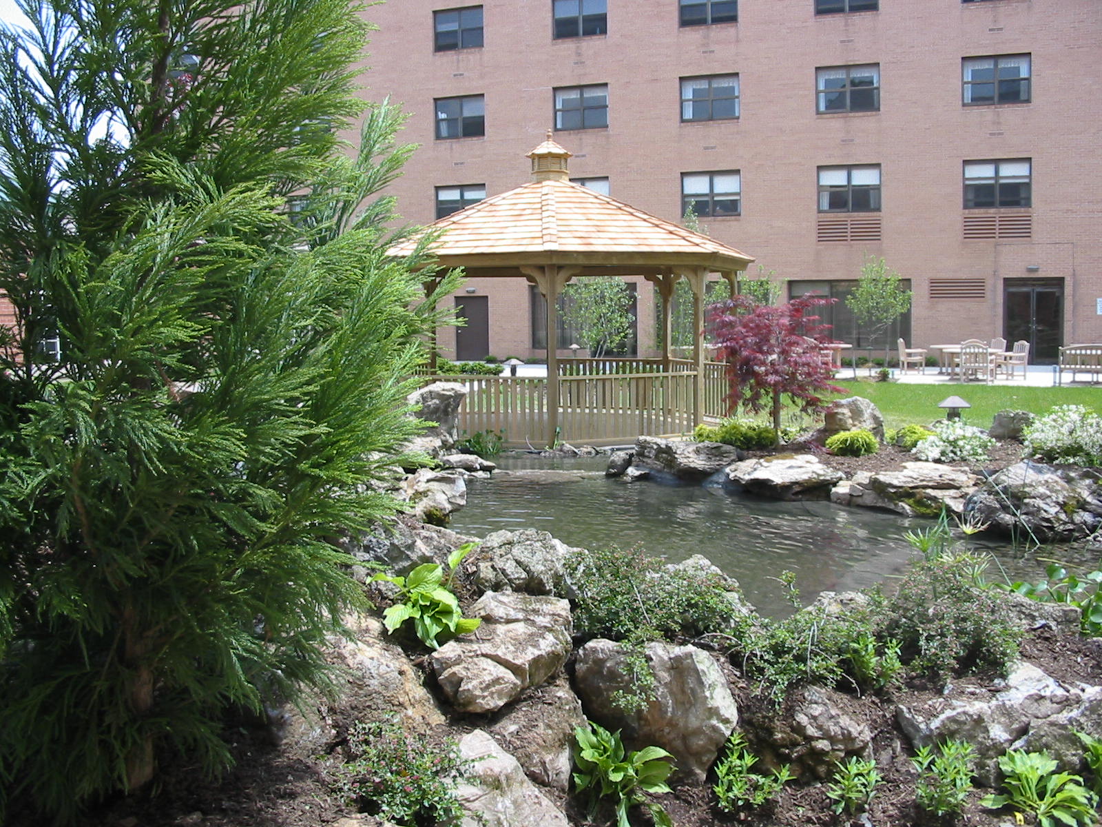 Picture-097.jpg