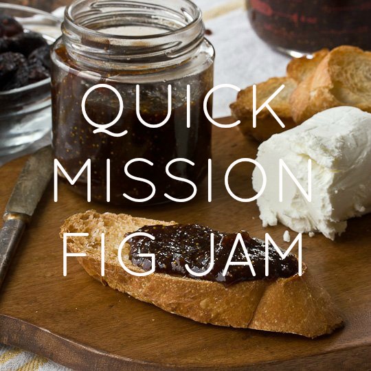 Quick Mission Fig Jam