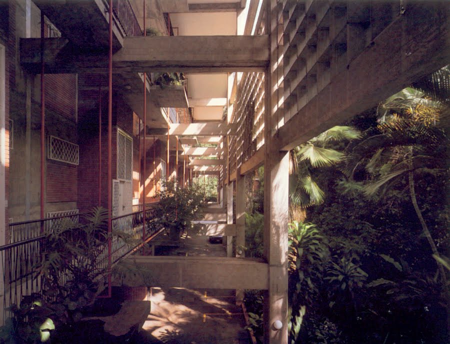 Altolar Building's tropical hallways. 