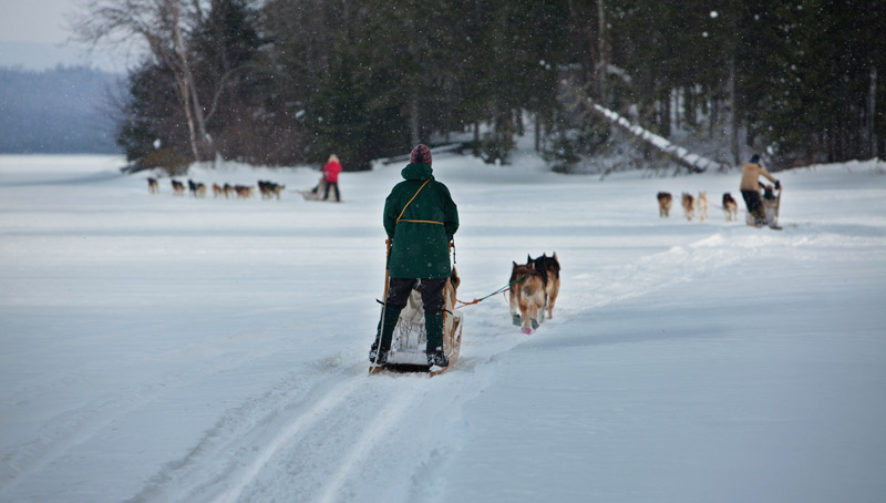 dogsledding.jpg