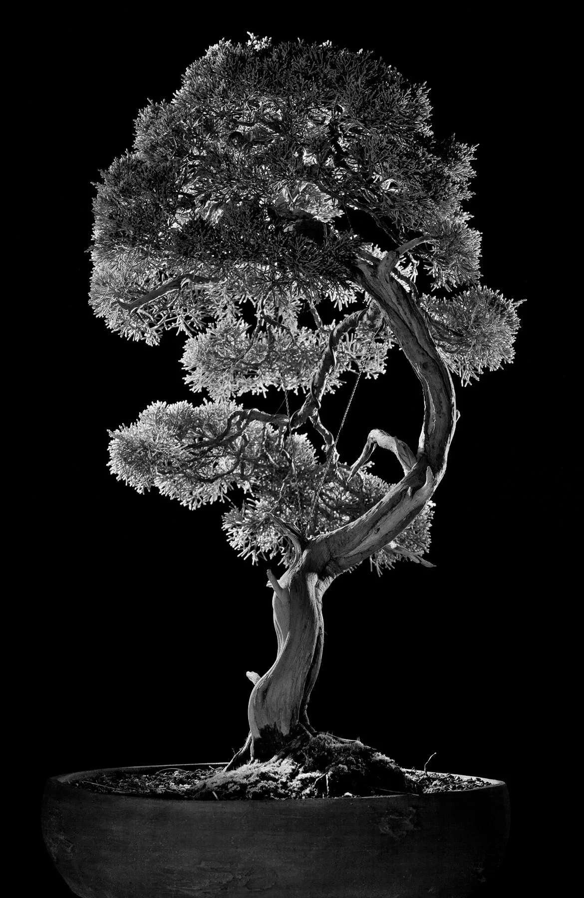 _MG_6940_printready.jpg