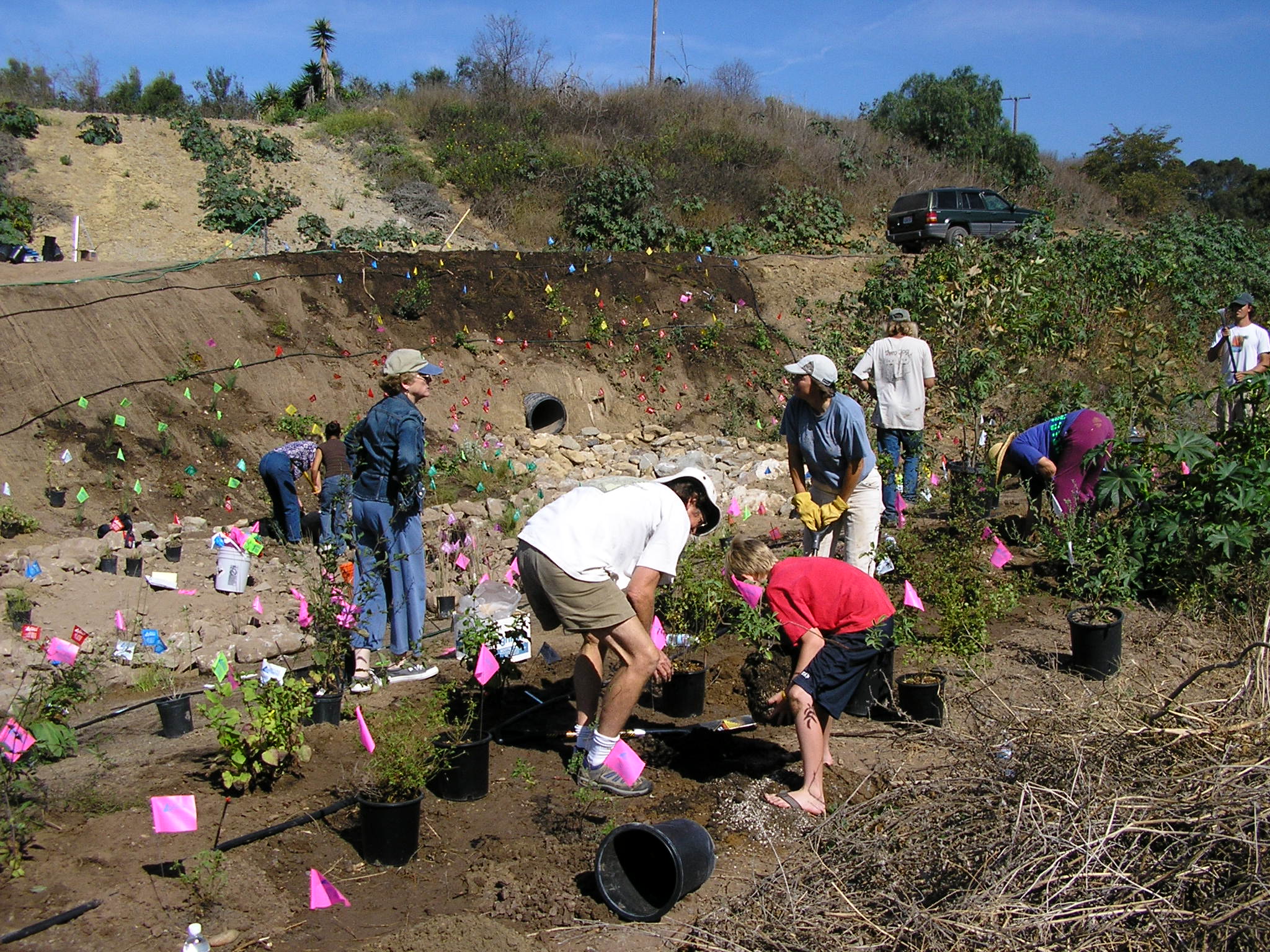 county campus workday w susan rose sept 25.05 077.jpg