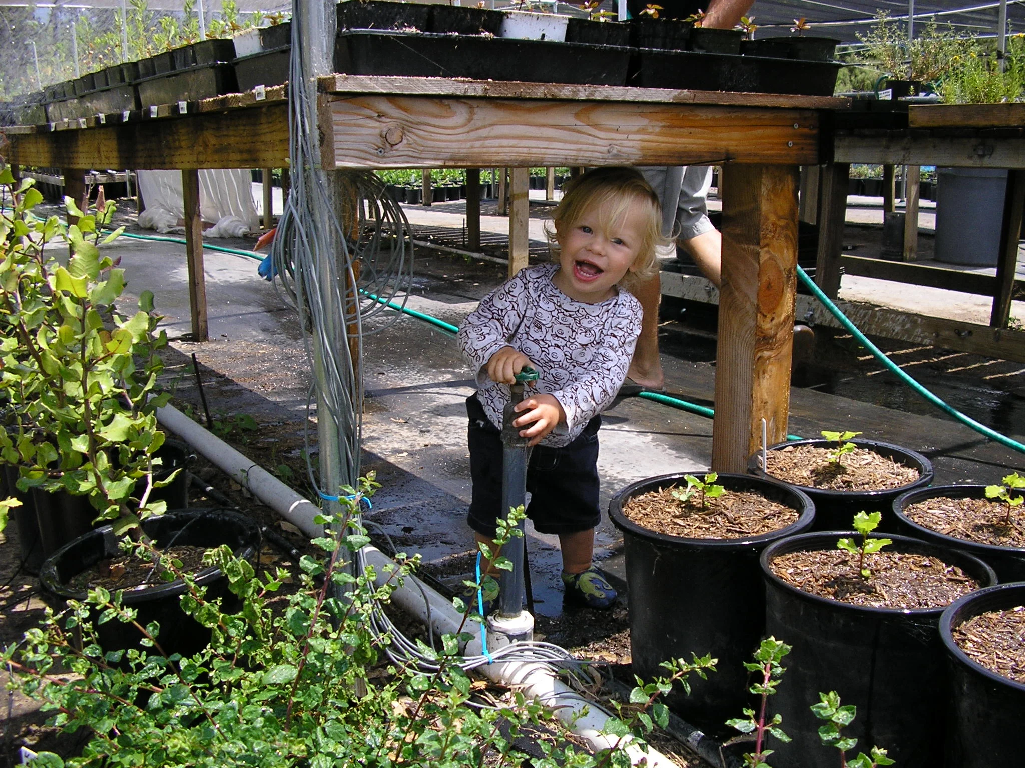 june 26.05 014 Lucas and oak seedling.jpg