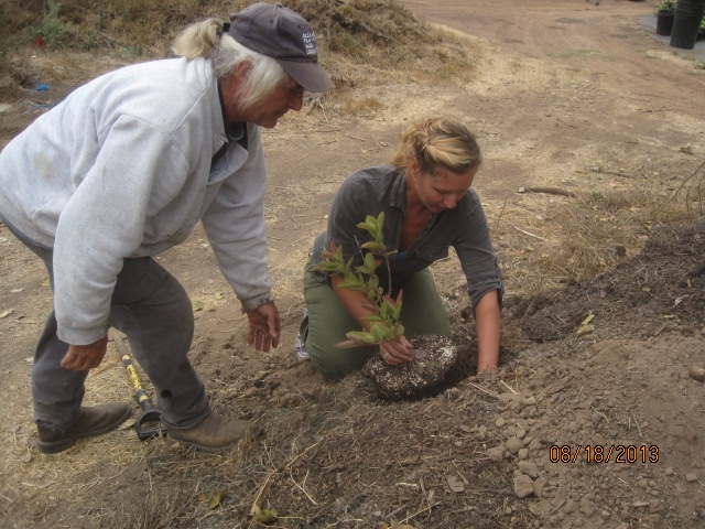 2013 Aug don giving planting lesson.JPG