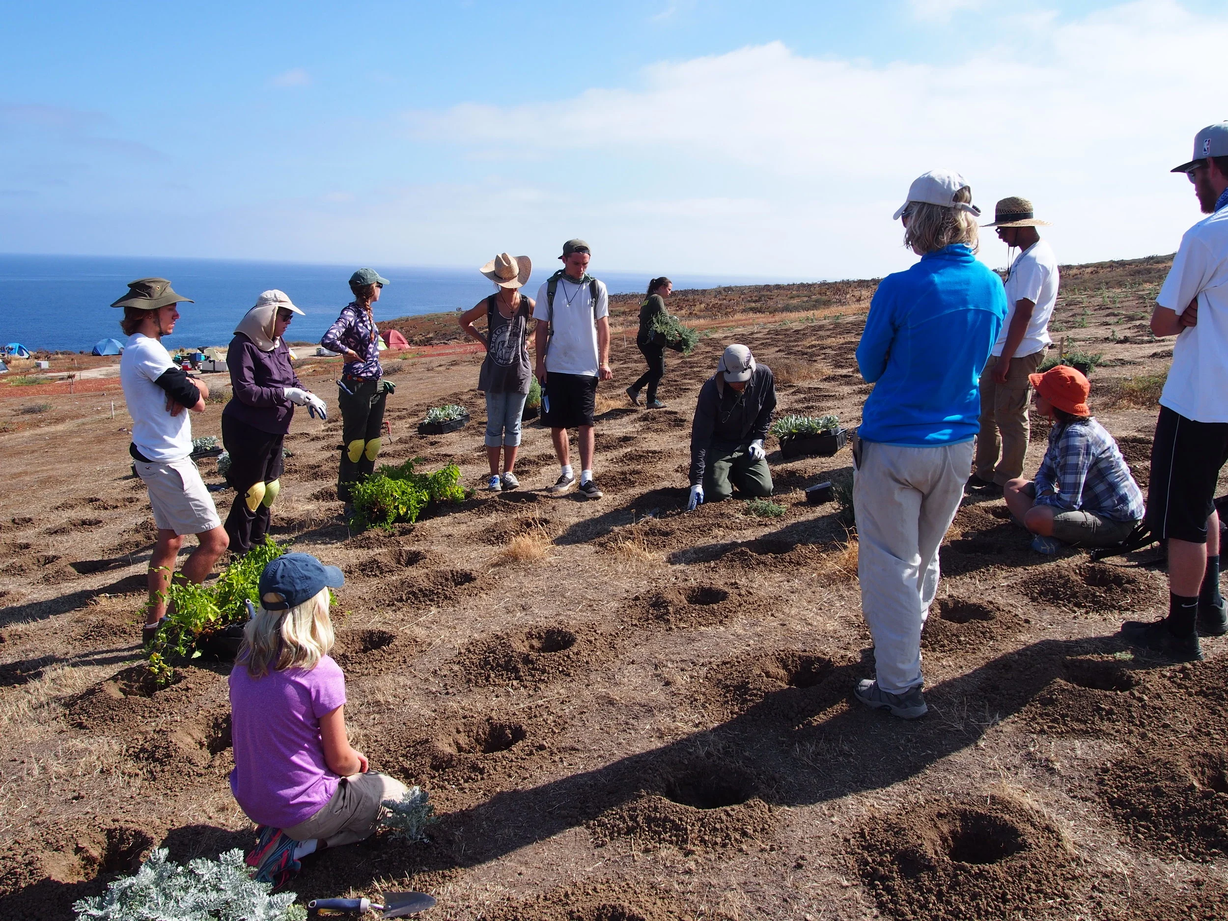 Horticulture students restore Santa Barbara Island habitats see entire article at Santa Barbara City College Channels Newspaper